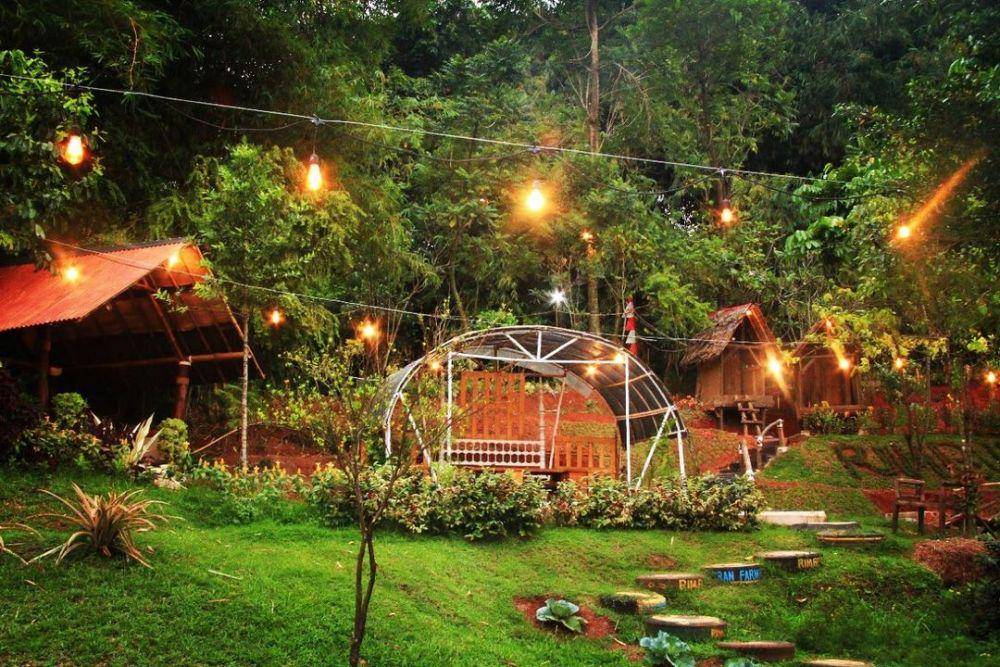 suasana sore hari di Kampung Konservasi Rimbun (instagram.com/rimbun_csr)