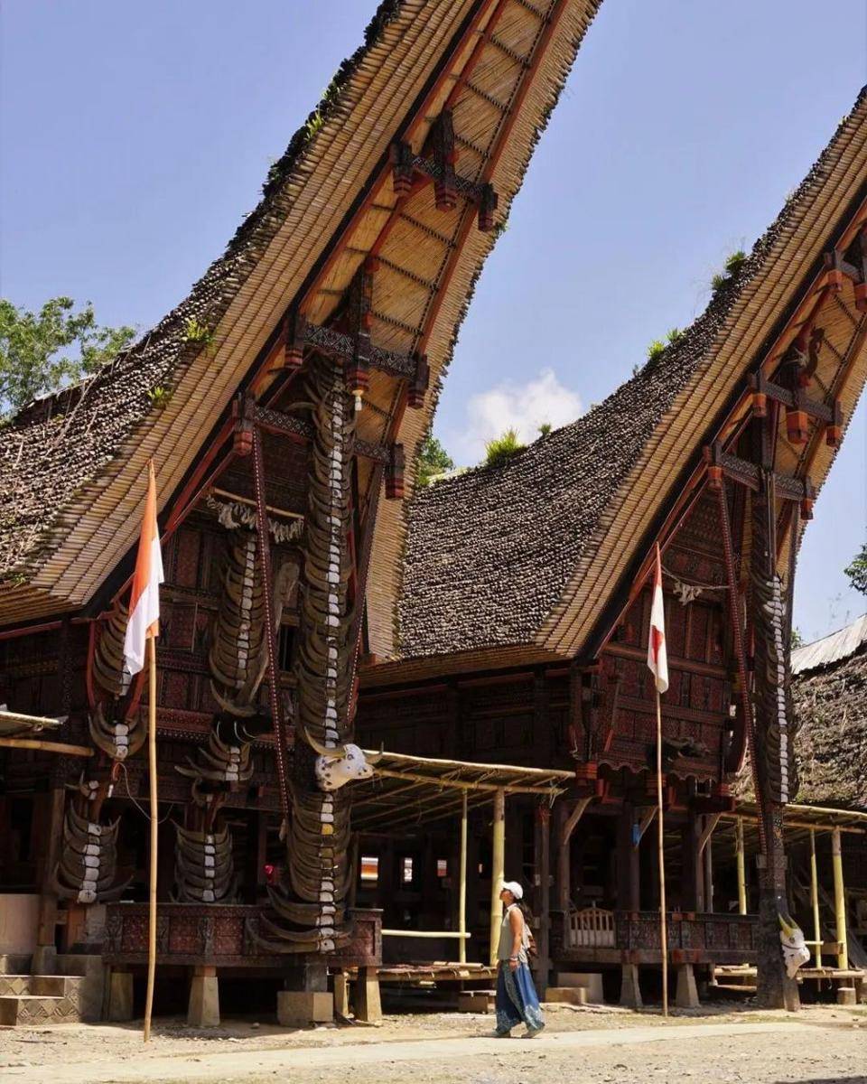 Ilustrasi landmark ikonis di Sulawesi, Rumah Tongkonan (instagram.com/tinaedenae)