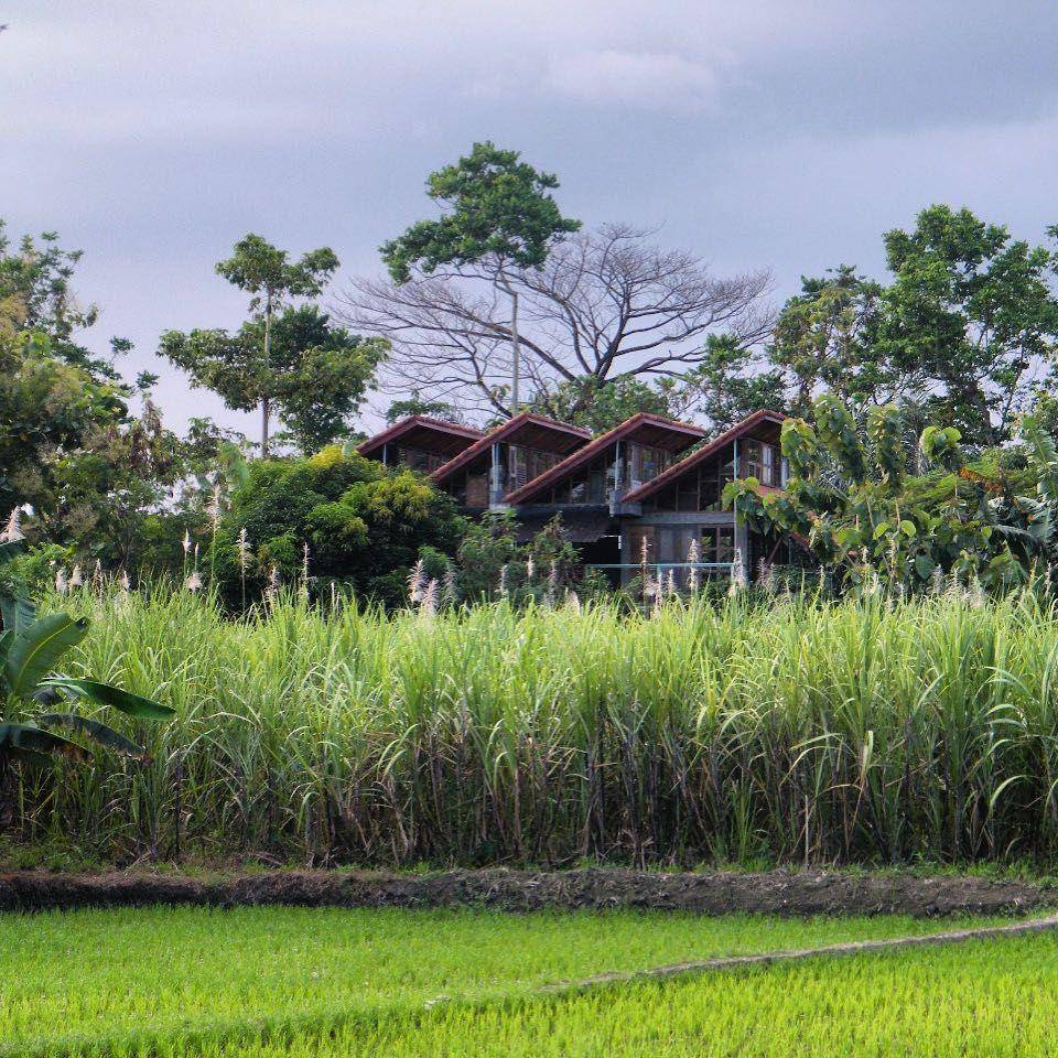Lorong Homestay (instagram.com/loronghomestay)