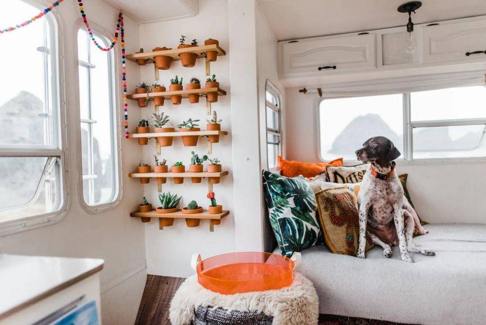 Taman indoor. (apartmenttherapy.com)