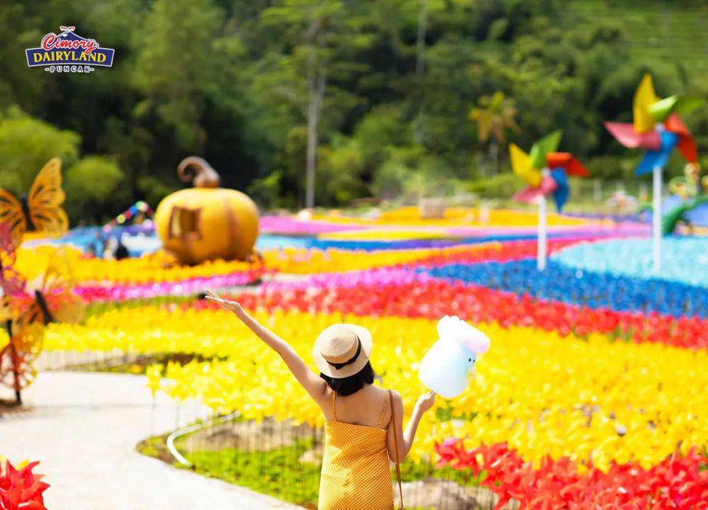 Cimory Dairyland (instagram.com/cimorydairyland.puncak)