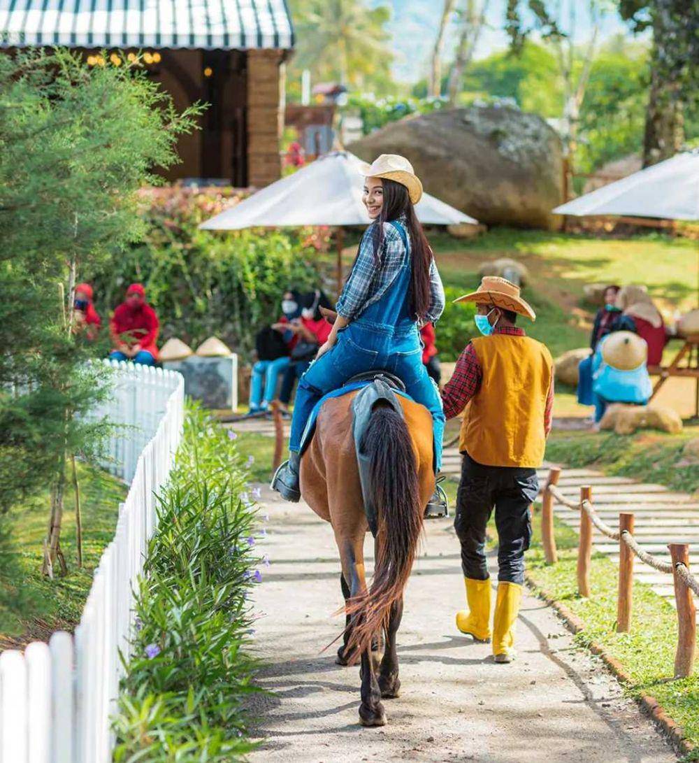 potret Cimory Dairyland (instagram.com/cimorydairyland.puncak)