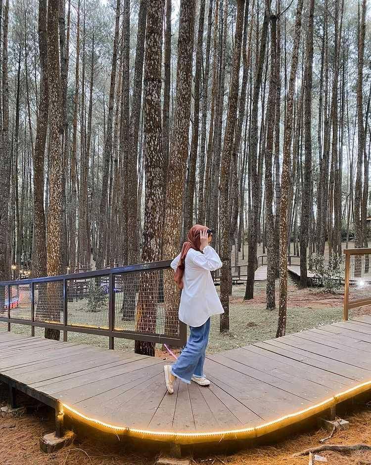 hutan pinus mangunan (instagram.com/anisadheaa)