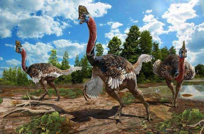 ilustrasi dinosaurus bernama Corythoraptor (sci-news.com)