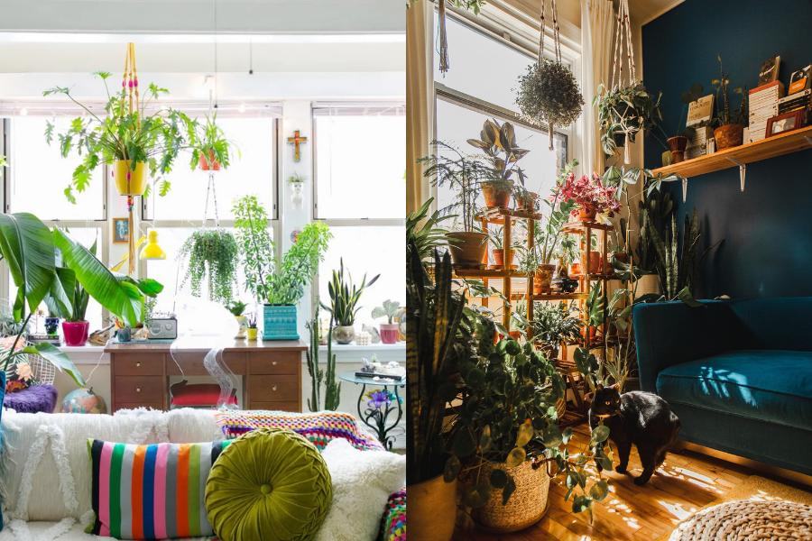 9 Ide Mini Garden Indoor di Rumah Mungil, Tetap Segar meski Terbatas