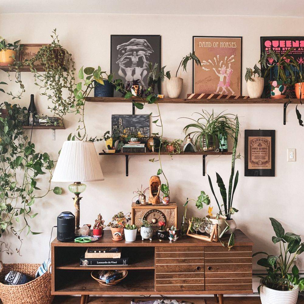 Taman indoor. (unsplash.com/Kate Darmody)