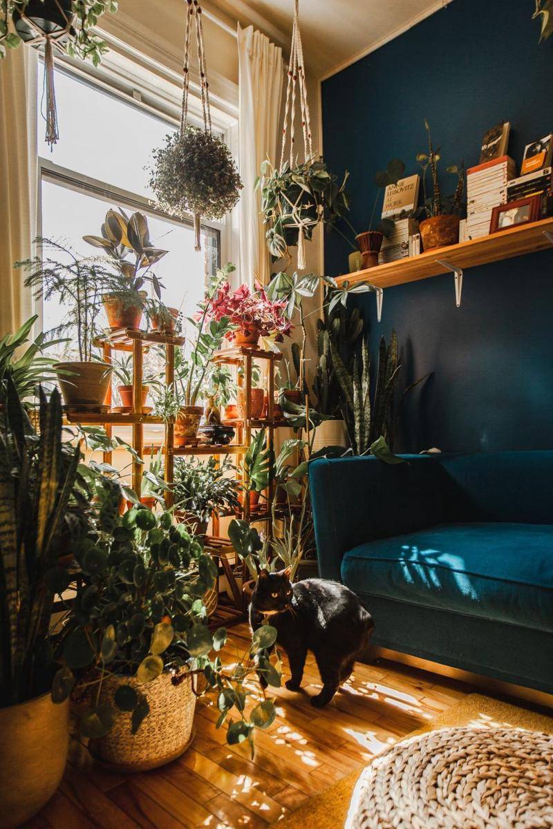 Taman indoor. (unsplash.com/Lydia Mailloux)