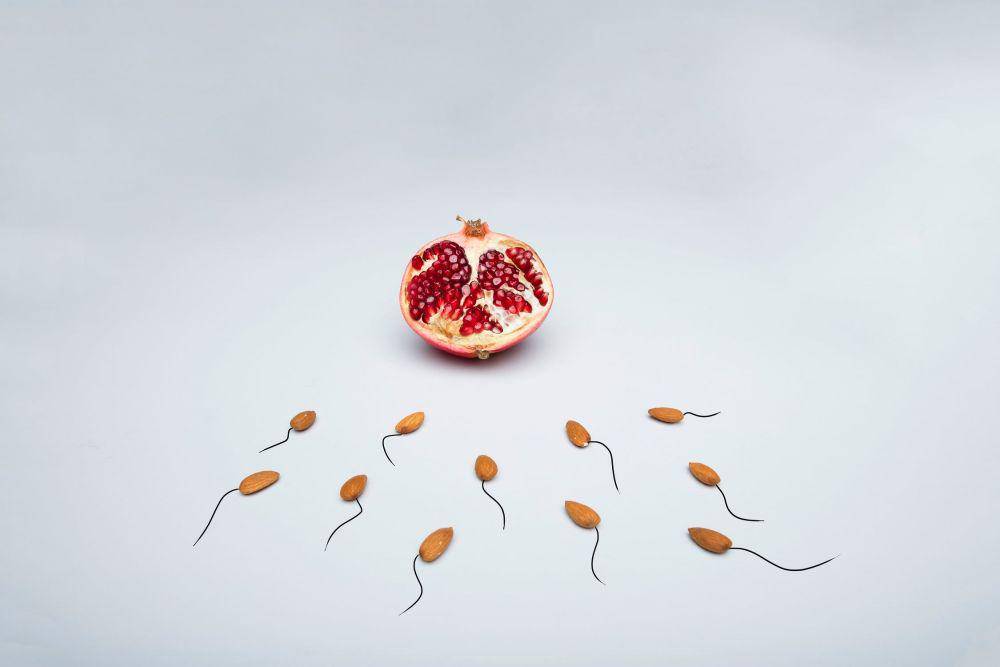 ilustrasi sperma (pexels.com/Deon Black)