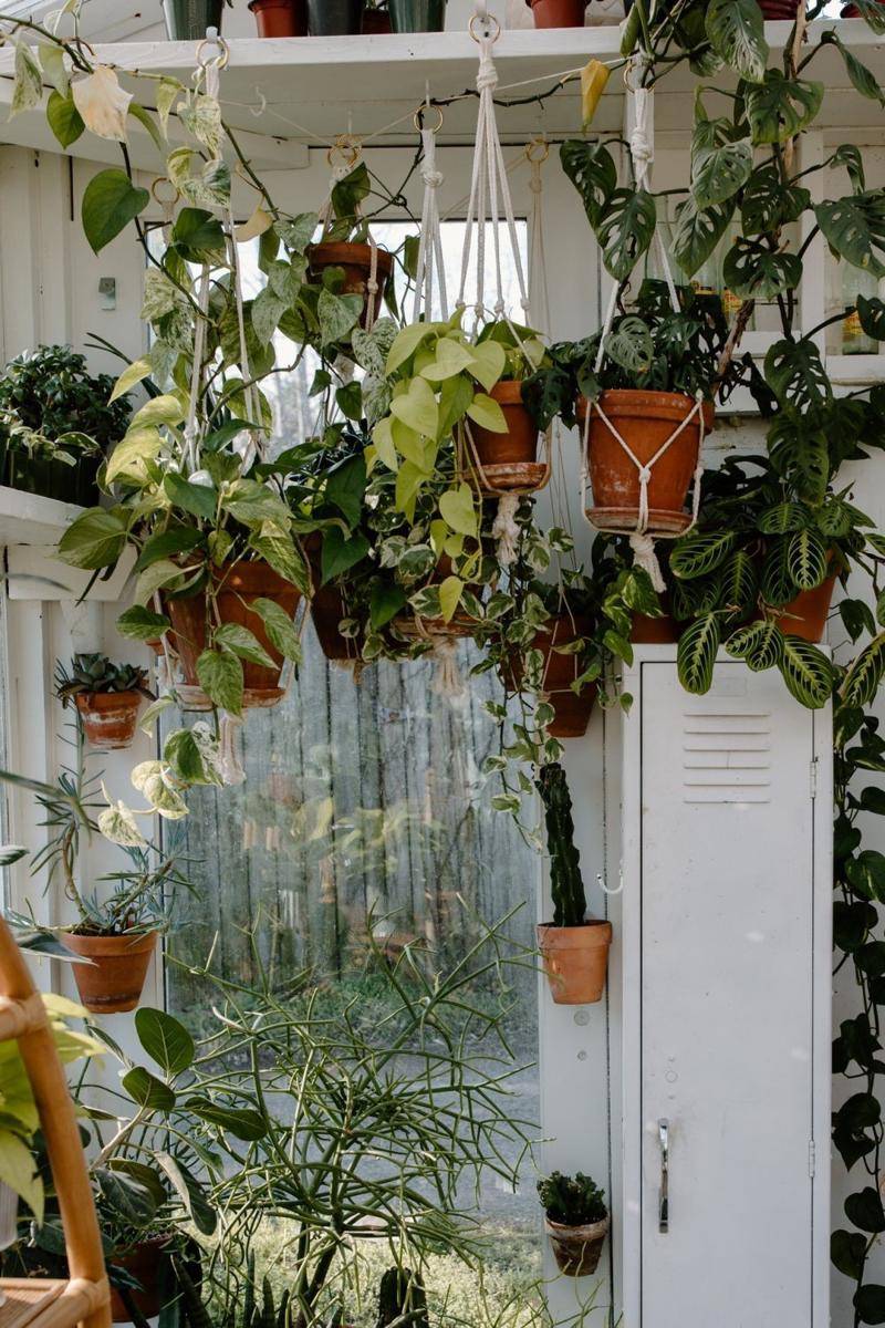 Taman indoor. (pexels.com/Tara Winstead)