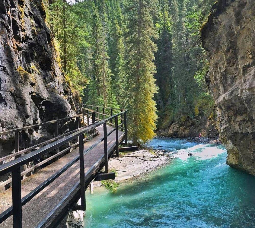 Johnston Canyon To Ink Pots and Beyond (instagram.com/discover.alberta)