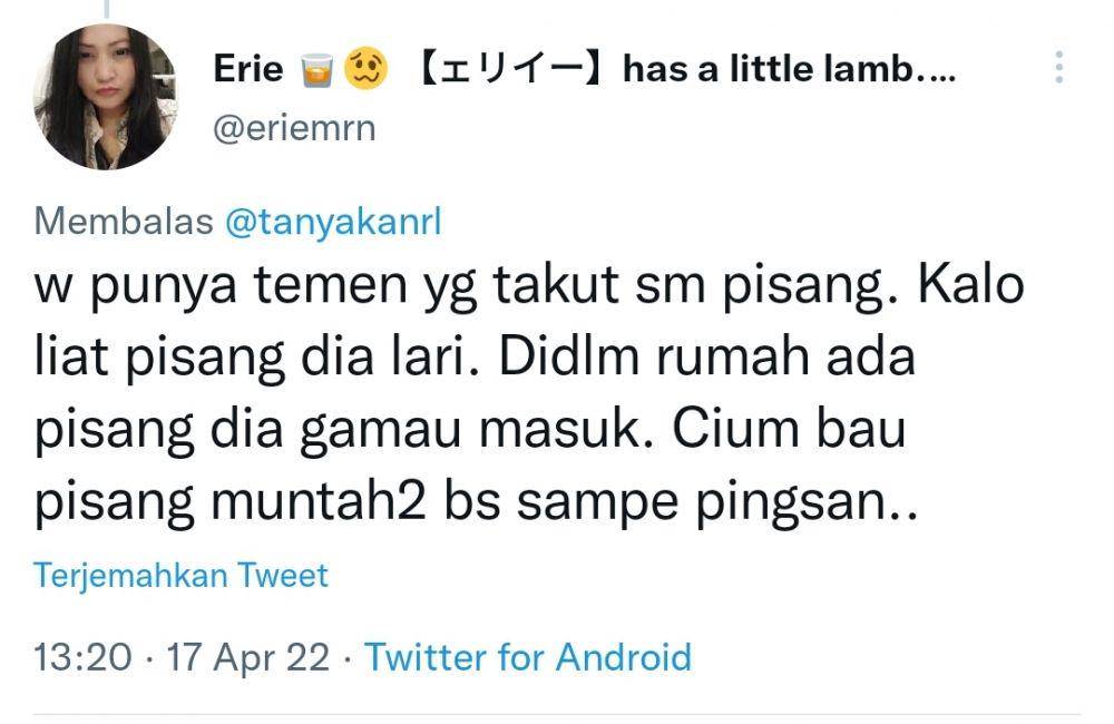 Fobia terabsurd warganet (twitter.com/eriemrn)