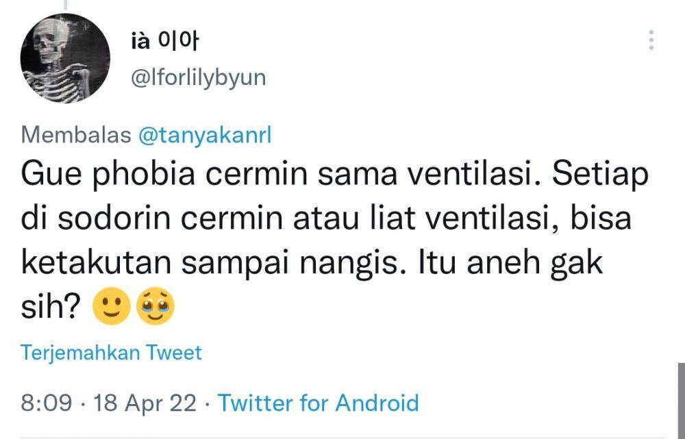 Fobia terabsurd warganet (twitter.com/lforlilybyun)