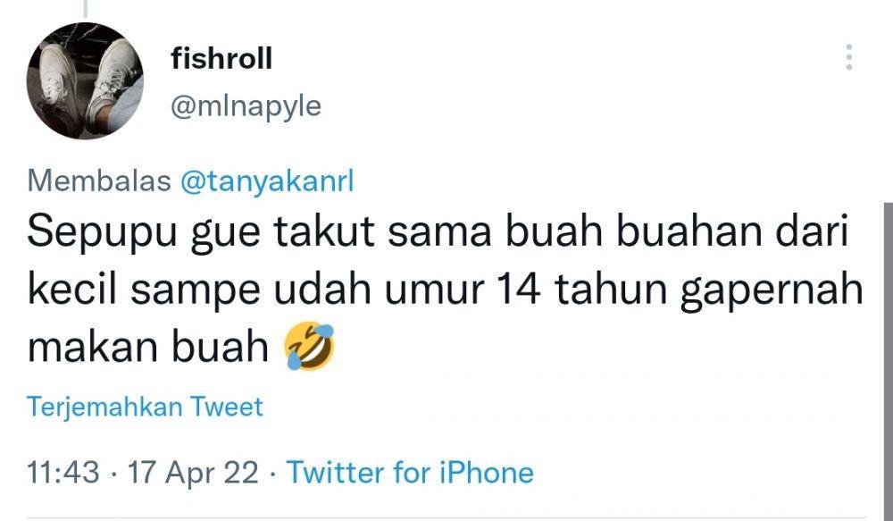 Fobia terabsurd warganet (twitter.com/mlnapyle)