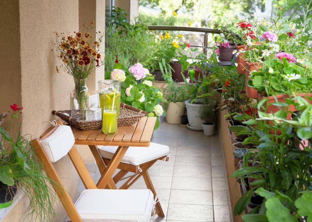 Taman mini. (almanac.com)