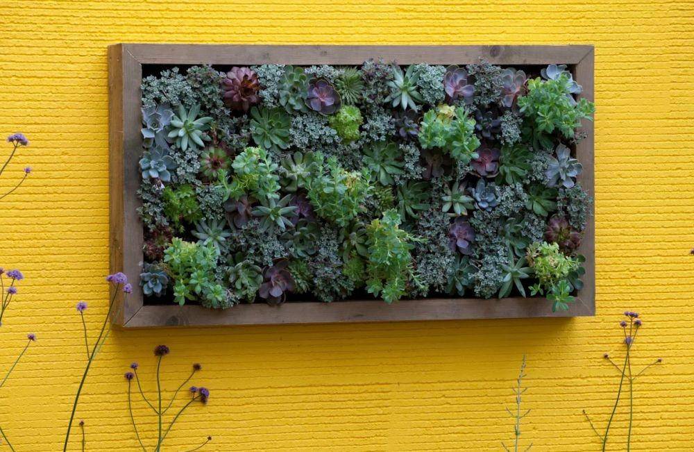 Taman mini. (gardeningetc.com)