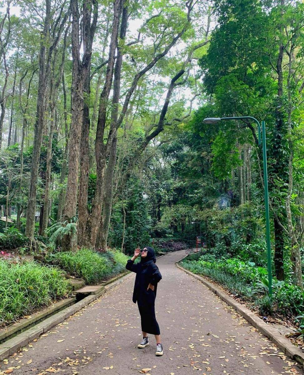 Taman Hutan Raya Djuanda, Bandung (instagram.com/fayhana_)