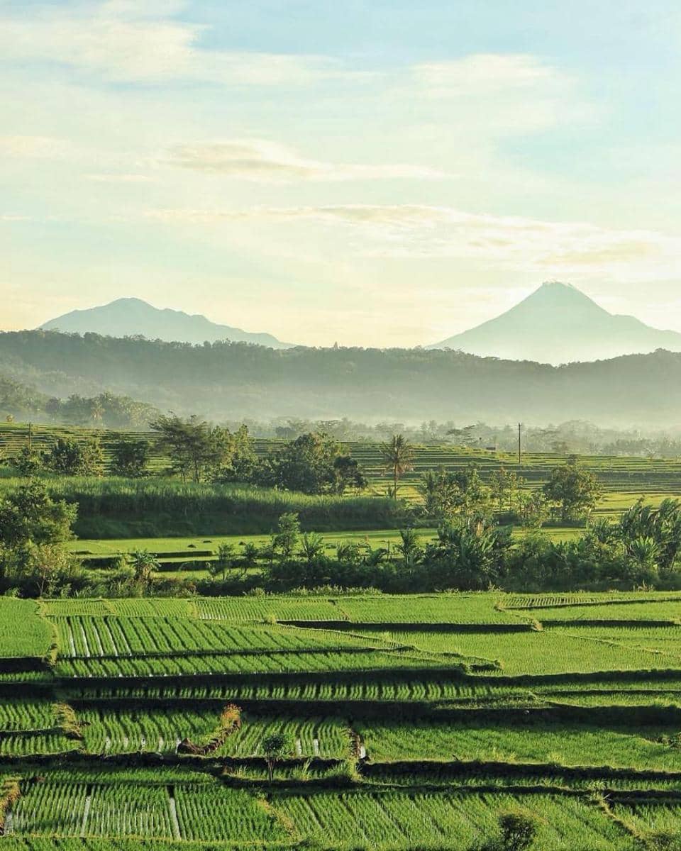 Puncak Kleco (instagram.com/dhianwijayanto)