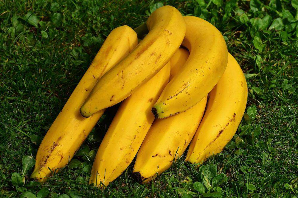 ilustrasi pisang (pixabay.com/@Alexas_Fotos)