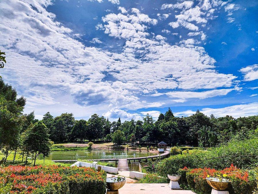 Kebun Raya Cibinong, Destinasi Eduwisata Tersembunyi di Bogor