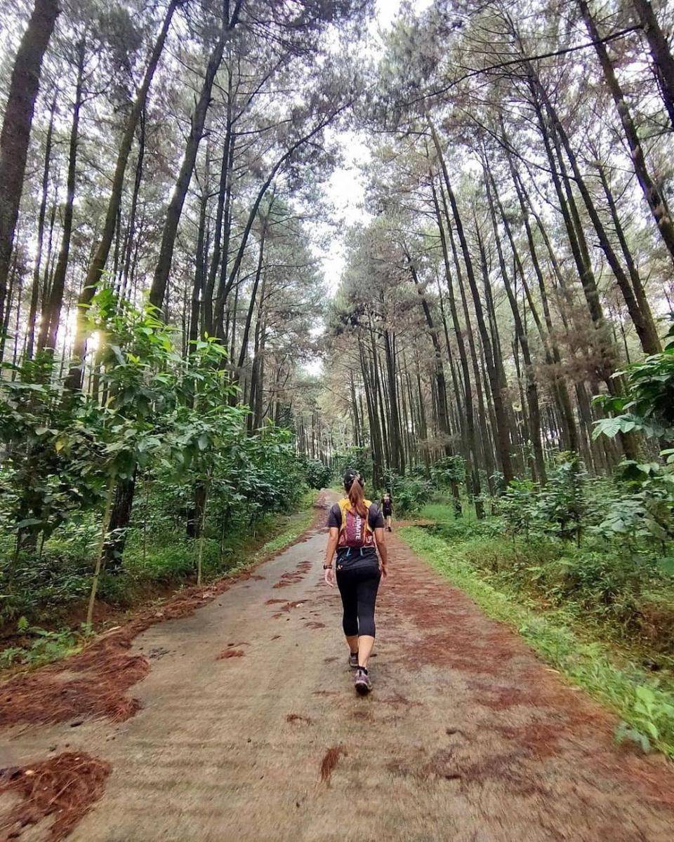 Gunung Pancar, Bogor (instagram.com/rpuspita81)