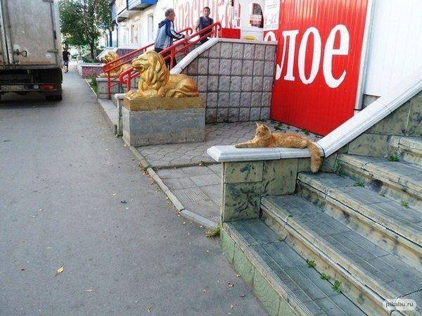 potret foto kebetulan (pikabu.ru/@dkvmn)