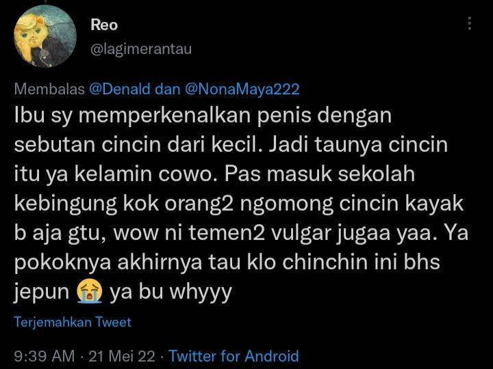 pengalaman warganet beri edukasi seks pada anak (twitter.com/lagimerantau)