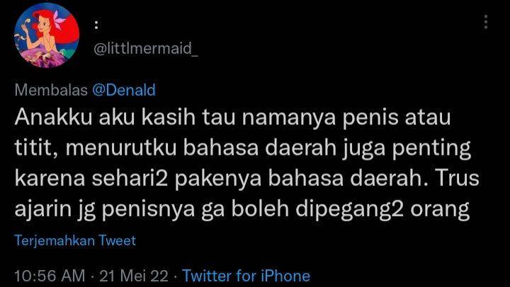 pengalaman warganet beri edukasi seks pada anak (twitter.com/littlmermaid_)