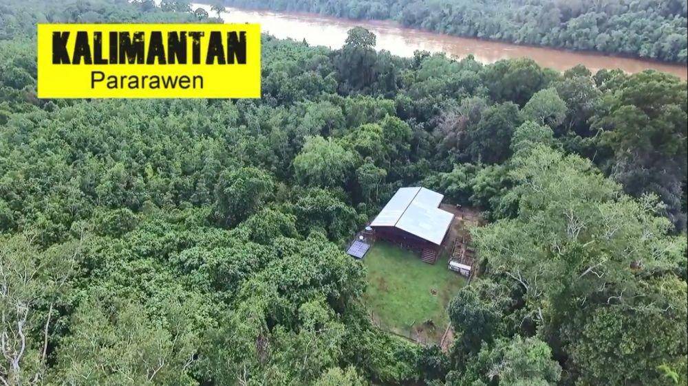 potret rumah Andrew Kalaweit (youtube.com/chaneekalaweit)