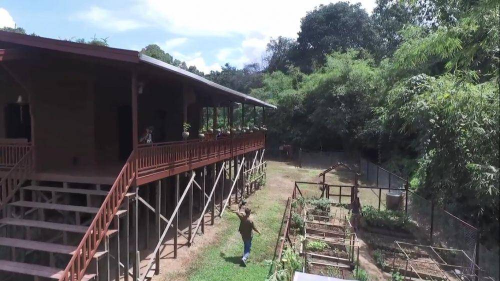 potret rumah Andrew Kalaweit (youtube.com/chaneekalaweit)