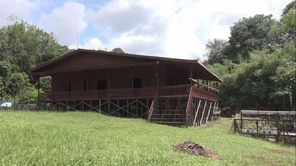 potret rumah Andrew Kalaweit (youtube.com/chaneekalaweit)