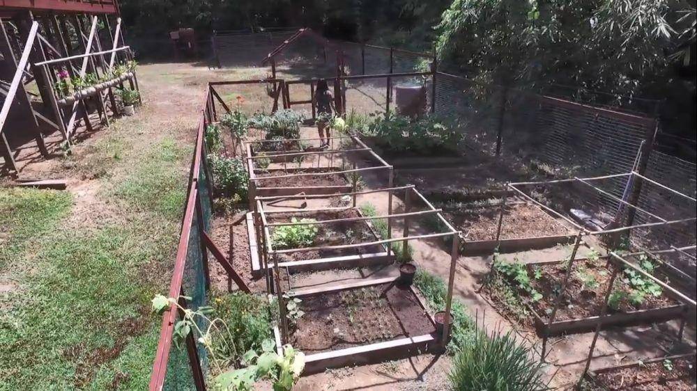 potret rumah Andrew Kalaweit (youtube.com/chaneekalaweit)