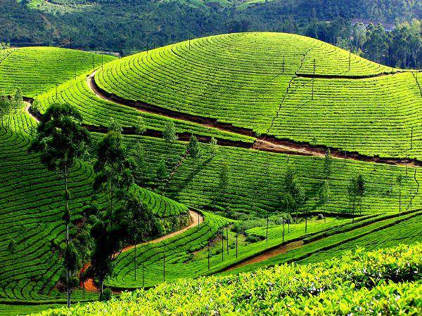 Idukki (nativeplanet.com)