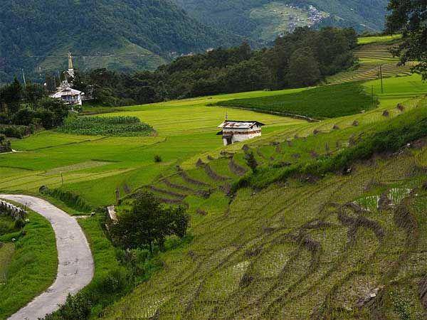 Ziro (nativeplanet.com)