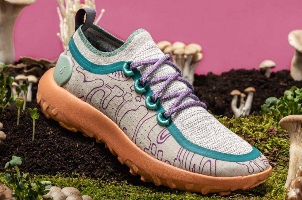 Allbirds (Instagram.com/allbirds)