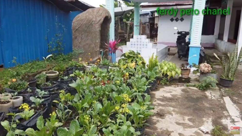 rumah Betrand Peto di kampung halaman (youtube/Ferdy Peto)