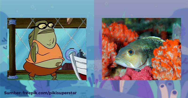 karakter Bubble Bass dan ilustrasi black sea bass (dok. Nickelodeon/SpongeBob SquarePants | flickr.com/National Marine Sanctuaries)