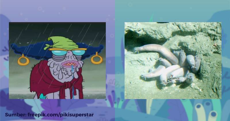 karakter Madame Hagfish dan ilustrasi hagfish (dok. Nickelodeon/SpongeBob SquarePants | flickr.com/NOAA Photo Library)