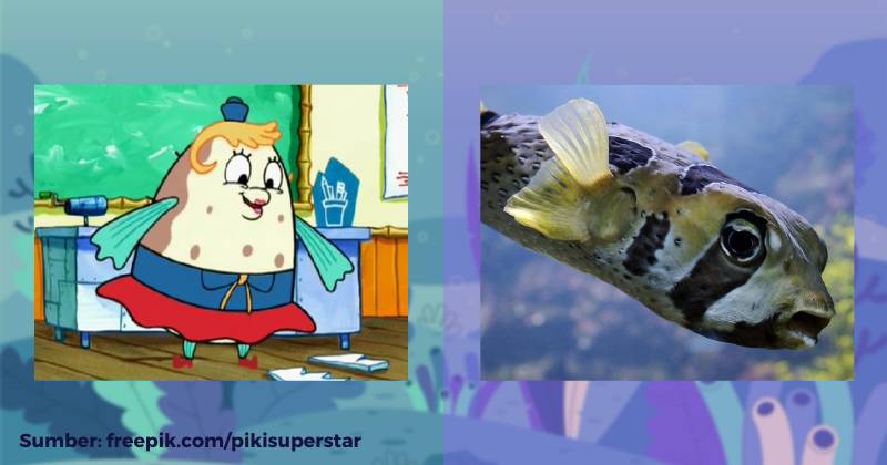 karakter Nyonya Puff dan ilustrasi ikan buntal (dok. Nickelodeon/SpongeBob SquarePants | pixabay.com/papaalfa85)