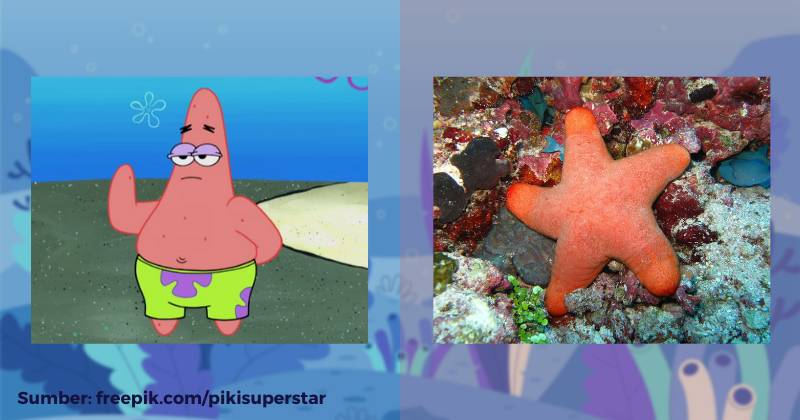 karakter Patrick Star dan ilustrasi bintang laut (dok. Nickelodeon/SpongeBob SquarePants | pixabay.com/simonesaponetto)