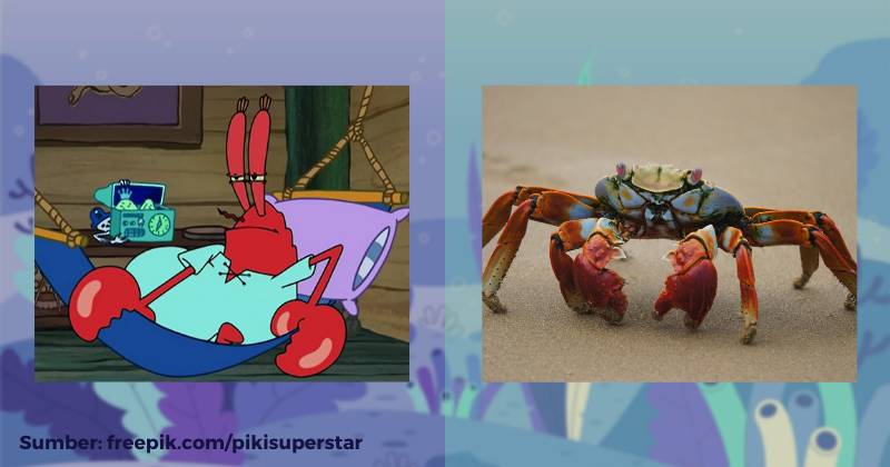 karakter Tuan Krabs dan ilustrasi kepiting (dok. Nickelodeon/SpongeBob SquarePants | unsplash.com/Mackenzie Cruz)
