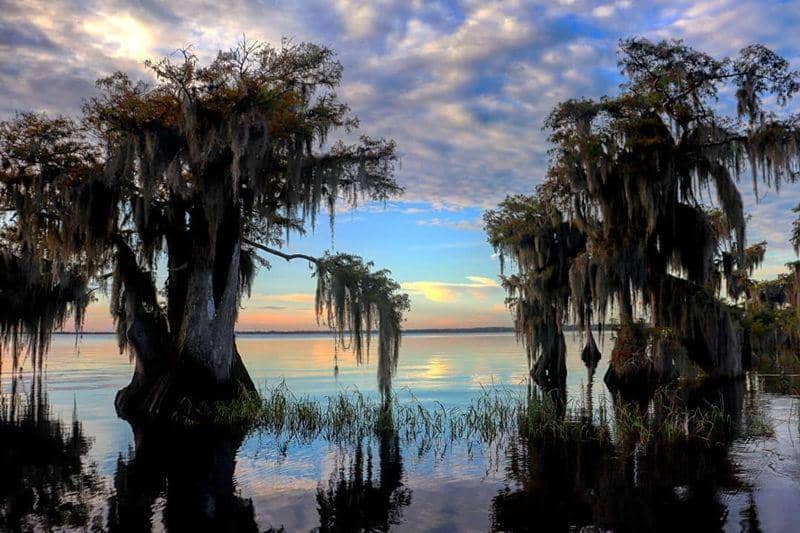 Danau Blue Cypress (instagram.com/about_kayaks)