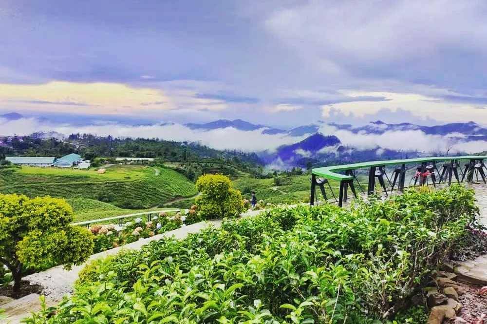Malino Highland (instagram.com/malinohighlands)
