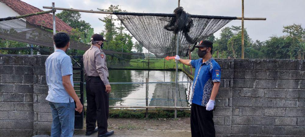 Kakek di Tulungagung Ditemukan Tewas Mengapung di Kolam Ikan Gurame