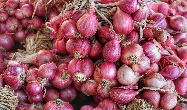 ilustrasi bawang merah (pixabay.com/Suanpa)