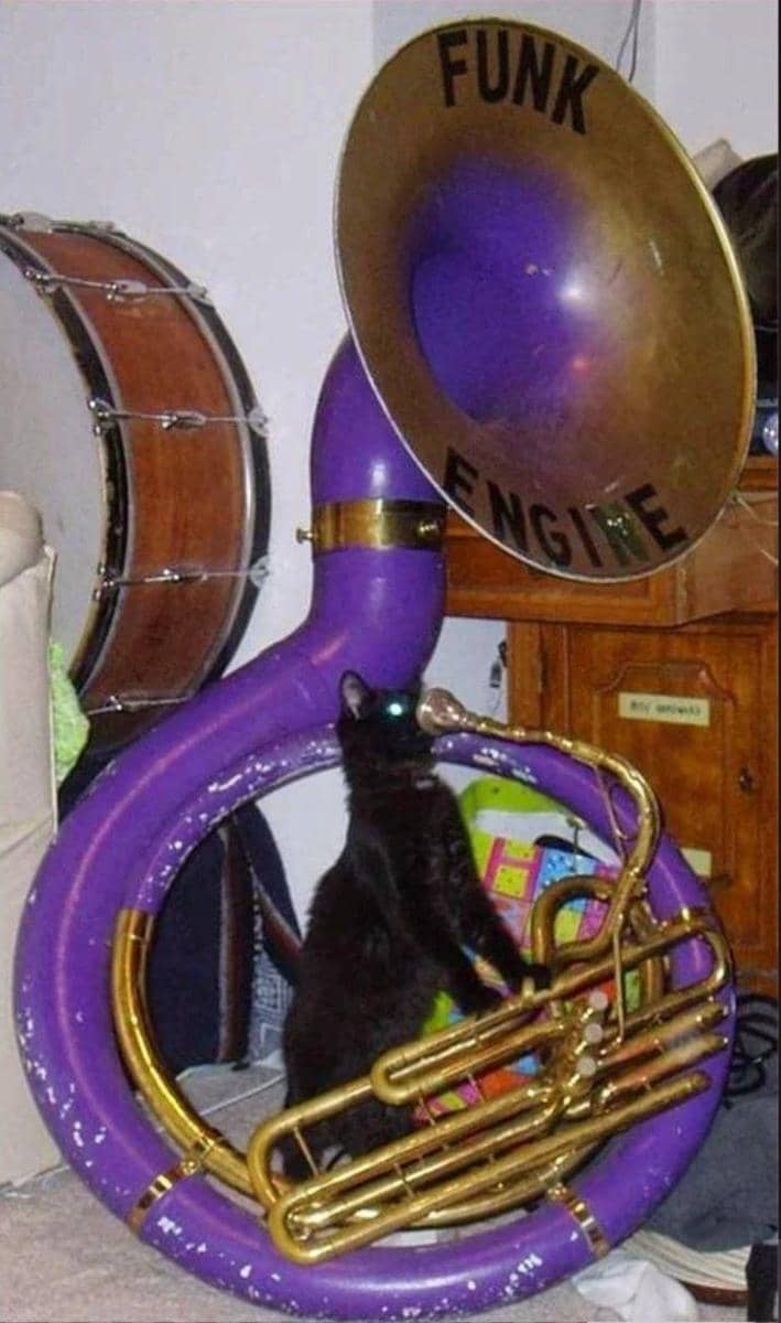 musik klasik ambyar (twitter.com/MusicalChaotic)