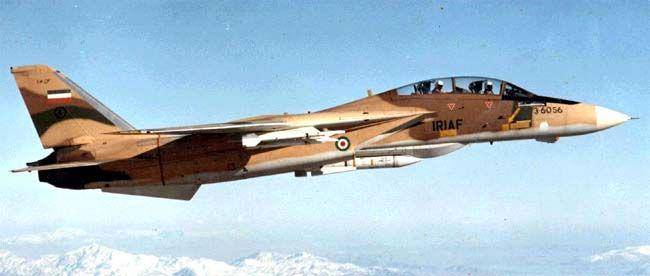 potret jet tempur F-14 milik AU Iran (commons.wikimedia.org)