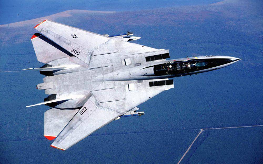 F-14 Tomcat menggunakan desain sayap ayun dan dua sirip belakang (commons.wikimedia.org/Twomey)