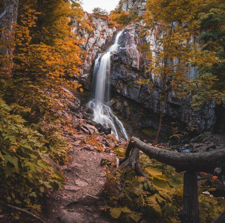 Boyana Waterfall (instagram.com/c3k0)