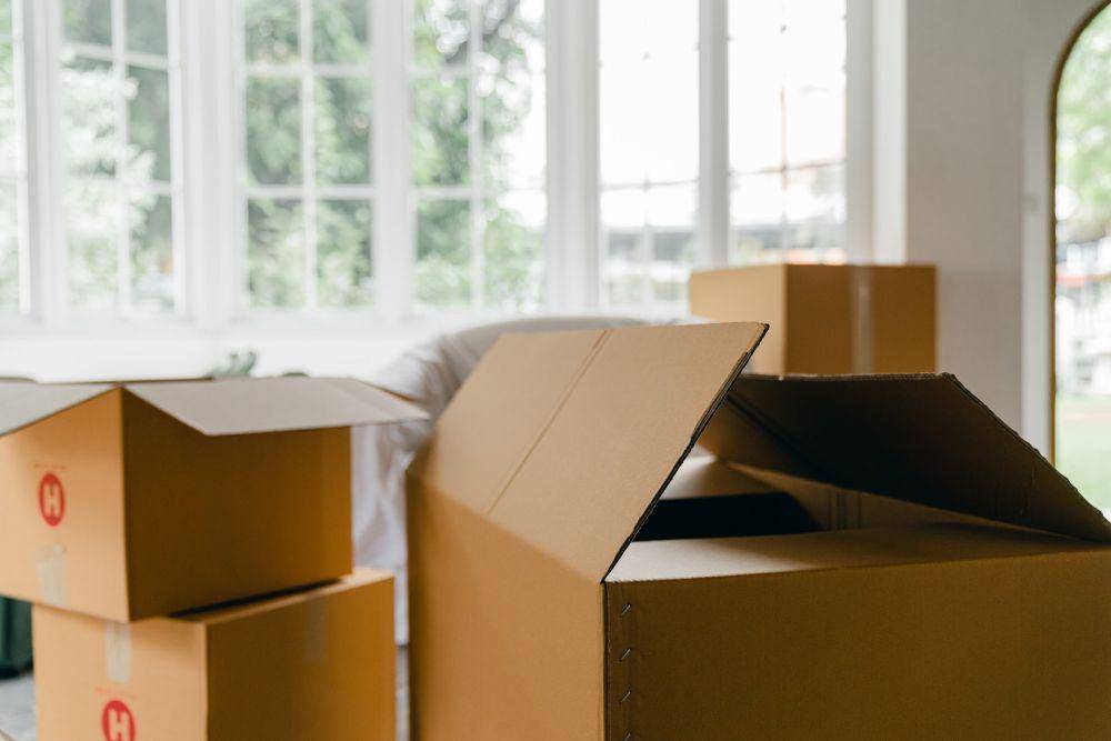 Ilustrasi Decluttering (pexels.com/KetutSubiyantoro)