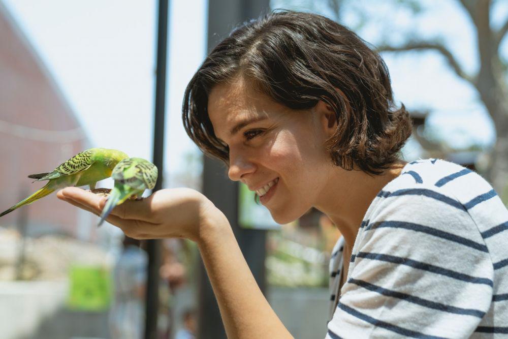 Takut Burung? Mungkin Kamu Pengidap Ornithophobia